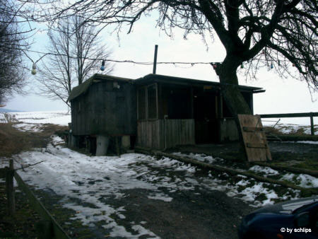 IMAG0037