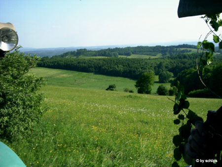 IMAG0049